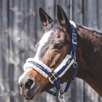 Nordic Topline